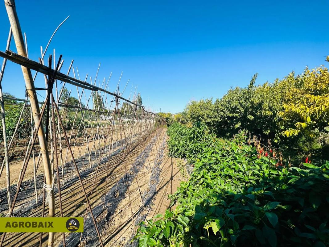Terreno en venta en Sant Boi de Llobregat, Barcelona photo 4