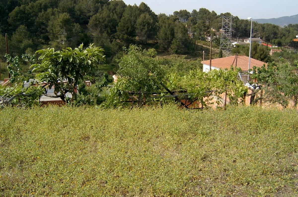 Terreno en venta en Sant Boi de Llobregat, Barcelona photo 2
