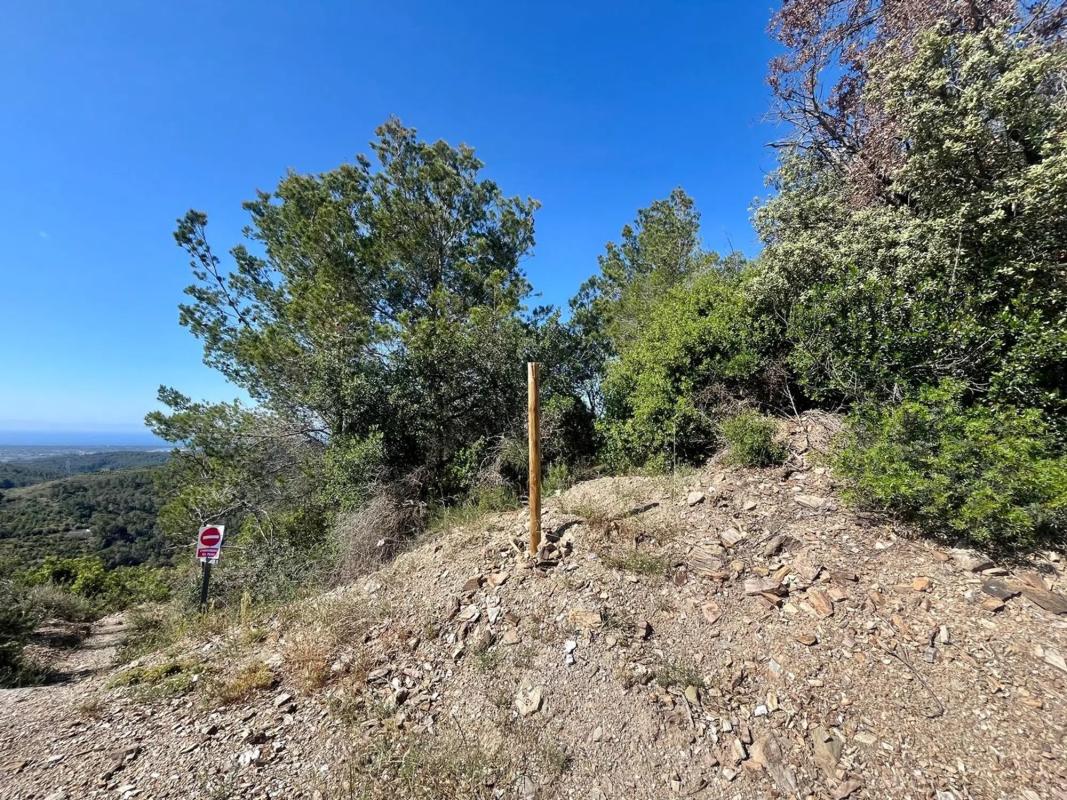 Land for sale in Sant Climent de Llobregat, Barcelona photo 2