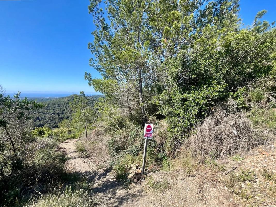 Land for sale in Sant Climent de Llobregat, Barcelona photo 3