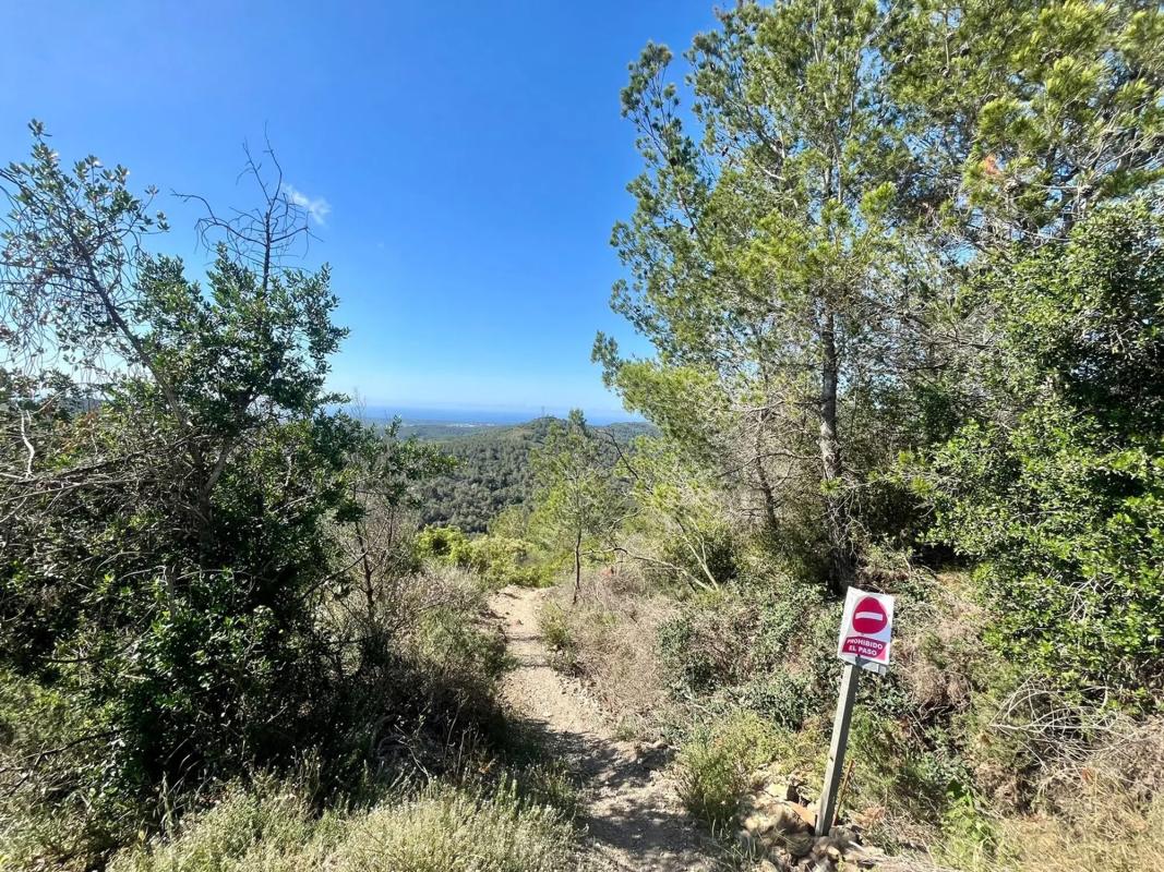 Land for sale in Sant Climent de Llobregat, Barcelona photo 5