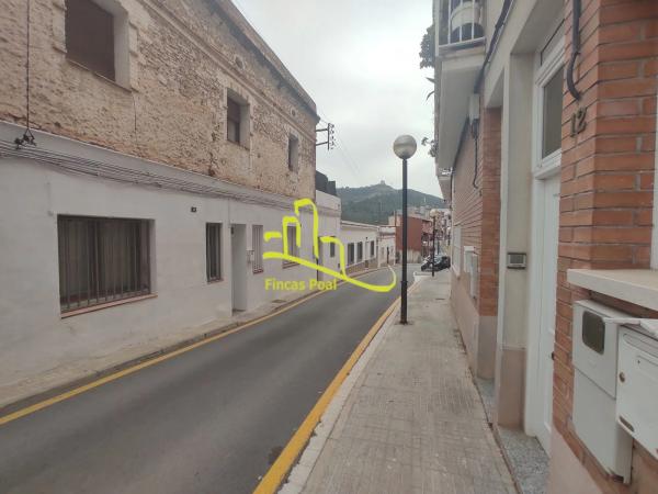 Terreno en flors, 9 photo 4