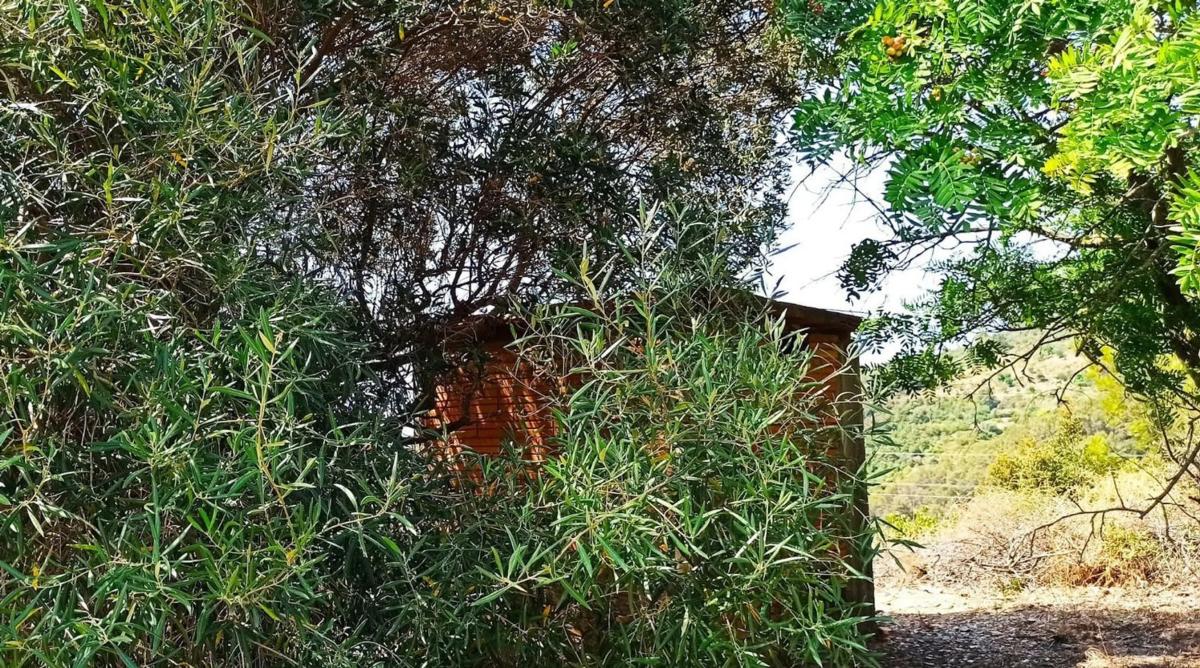 Land for sale in Sant Climent de Llobregat, Barcelona photo 4