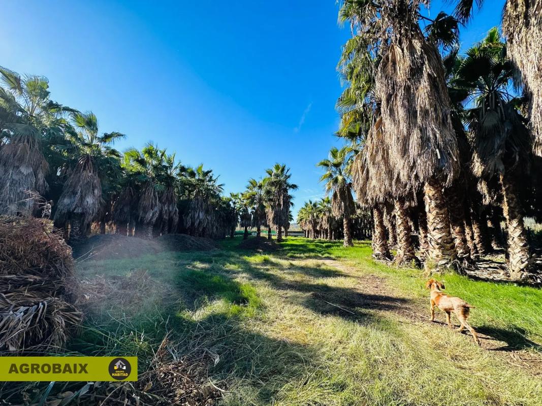 Land for sale in Sant Joan Despí, Barcelona photo 5