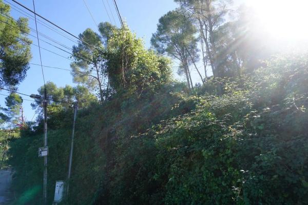 Terreno en Sant Vicenç Dels Horts photo 3