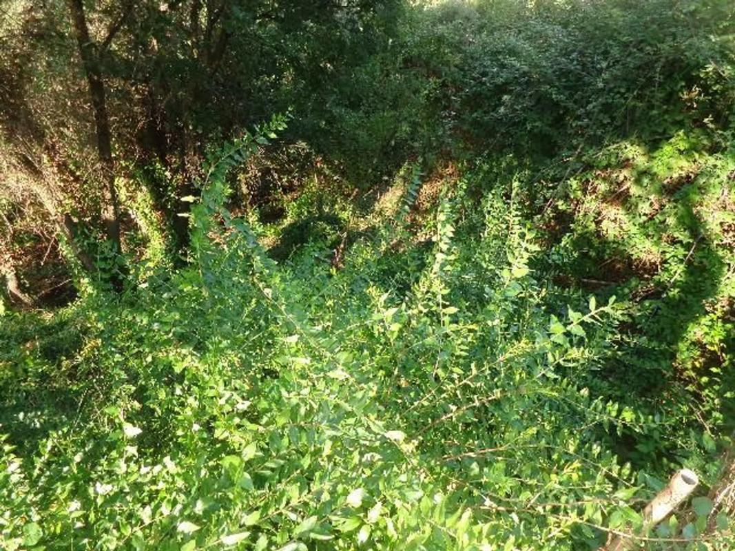 Terreno en venta en Sant Vicenç Dels Horts, Barcelona photo 4