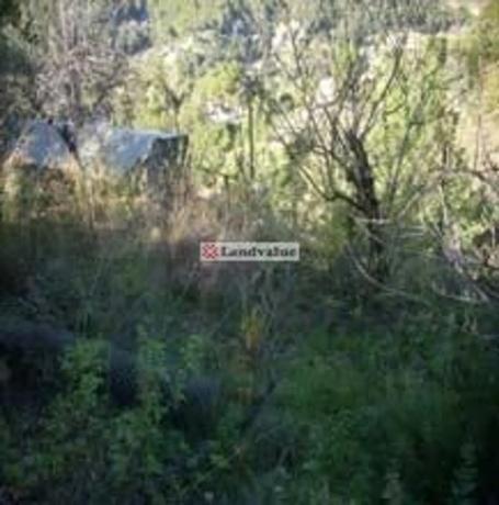 Terreno en calle de la Ginesta, 45 thumbnail 2