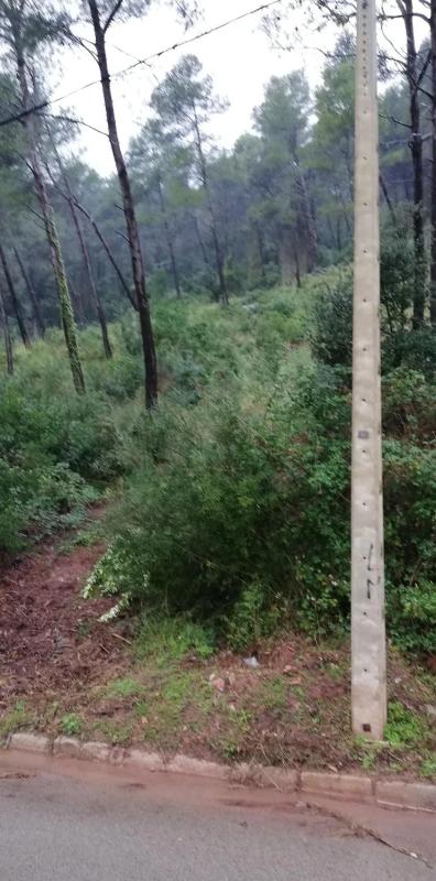 Działka na sprzedaż w Torrelles de Llobregat, Barcelona photo 2