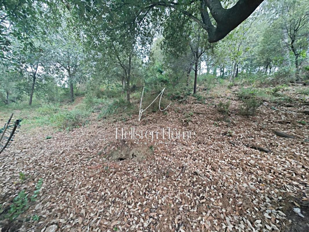 Działka na sprzedaż w Torrelles de Llobregat, Barcelona photo 3