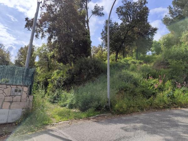 Terreno en avenida tercera, 17 thumbnail 2