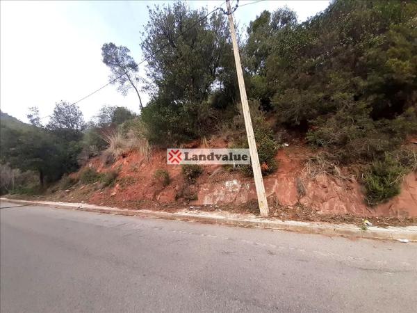 Terreno en calle 24 s/n photo 4