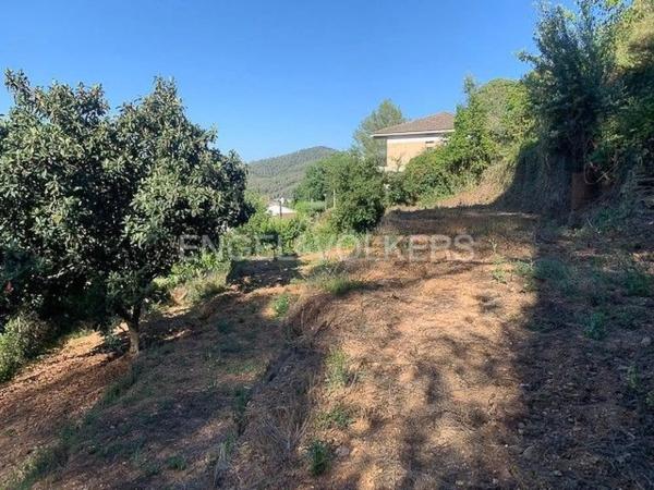 Terreno en Torrelles de Llobregat photo 1