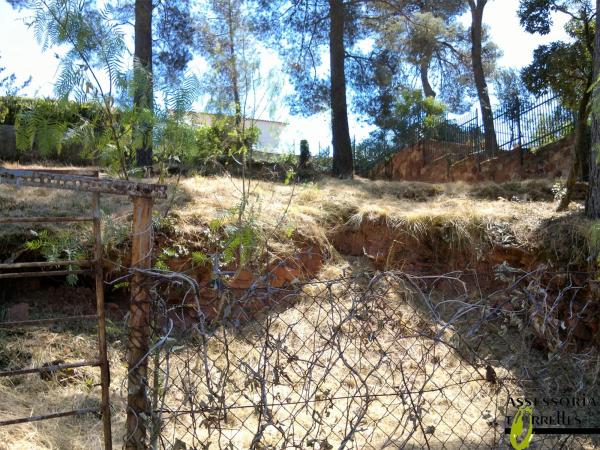 Terreno en tretze, 26 photo 2