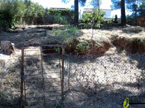 Terreno en tretze, 26 photo 3
