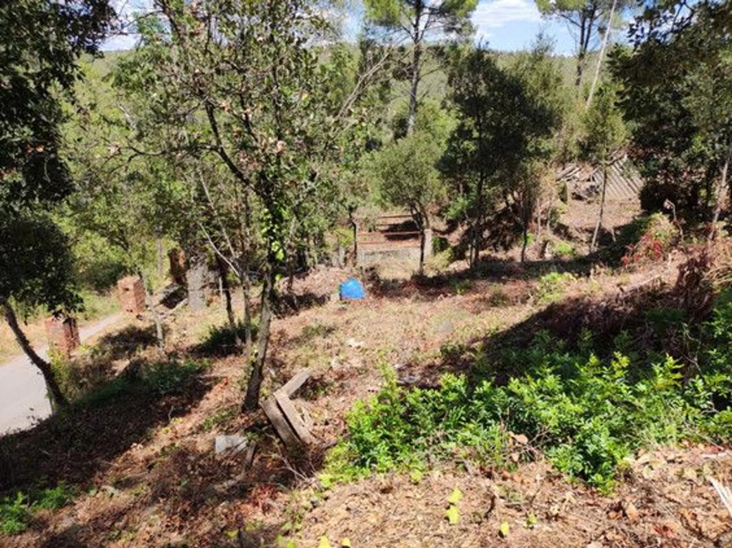 Land for sale in Torrelles de Llobregat, Barcelona photo 5