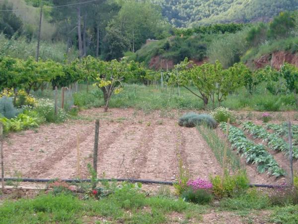 Terreno en Torrelles de Llobregat photo 1
