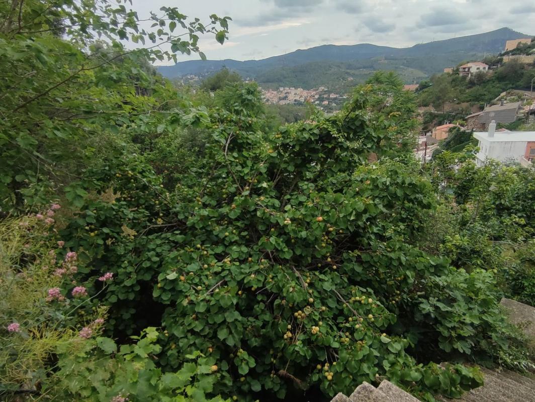 Działka na sprzedaż w Torrelles de Llobregat, Barcelona photo 4