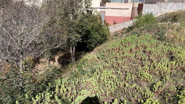 Terreno en Torrelles de Llobregat photo 2