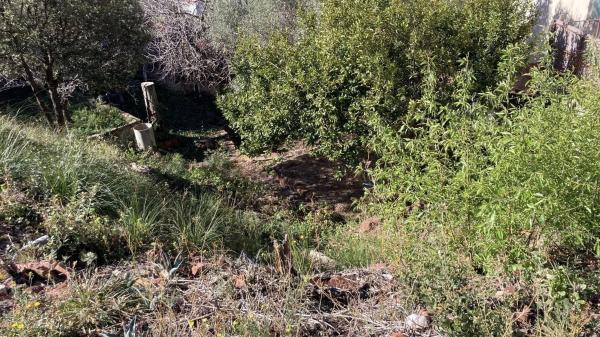 Terreno en Torrelles de Llobregat photo 4