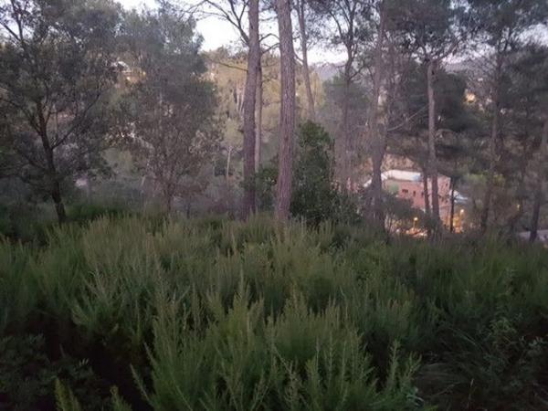 Terreno en Torrelles de Llobregat photo 2