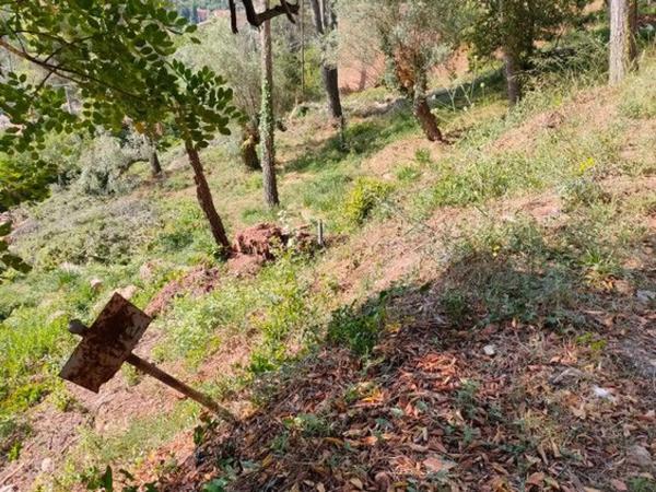 Terreno en Torrelles de Llobregat photo 1
