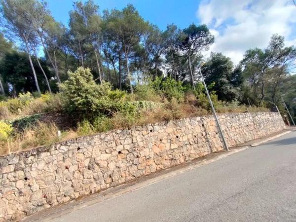 Terreno en Torrelles de Llobregat photo 1