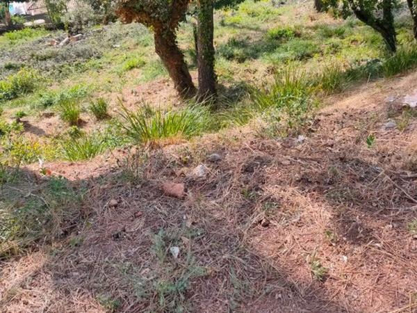 Terreno en Torrelles de Llobregat photo 2