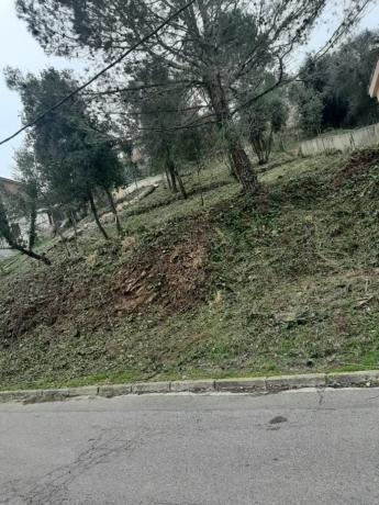 Terreno en avenida tercera, 4 photo 4