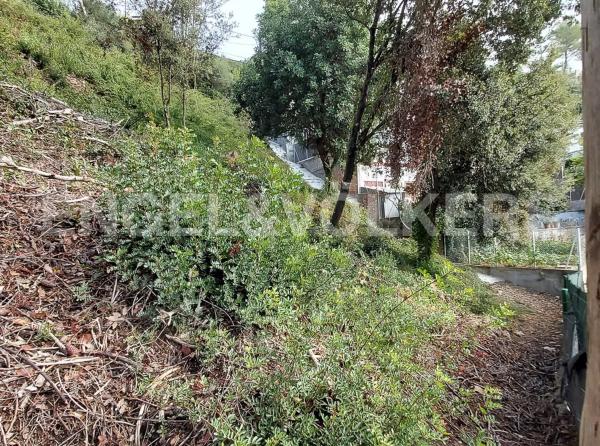 Terreno en Torrelles de Llobregat photo 4