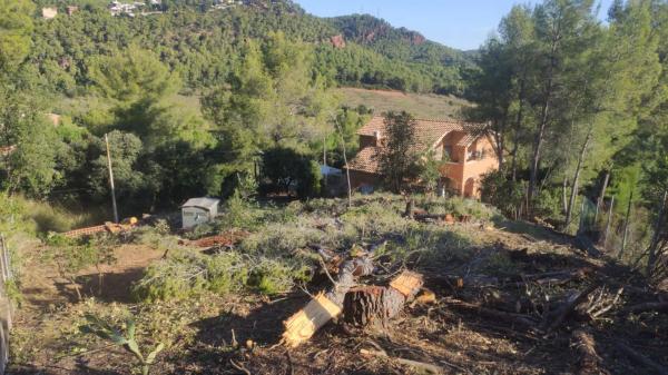 Terreno en calle 24, 52 photo 3