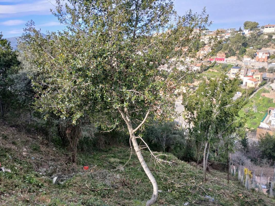Land for sale in Torrelles de Llobregat, Barcelona photo 4