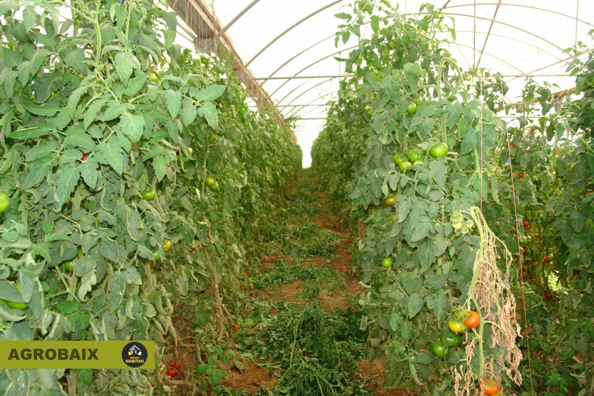Terreno en venta en Viladecans, Barcelona photo 4