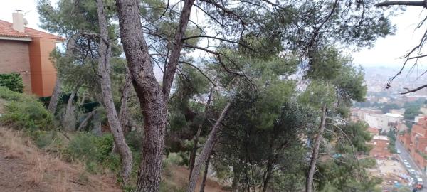 Terreno en carretera de las Aguas, 396 thumbnail 1