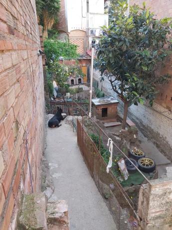 Terreno en calle l'Alcalde de Zalamea, 16 thumbnail 1