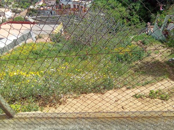 Terreno en calle de Llerona, 125 thumbnail 1