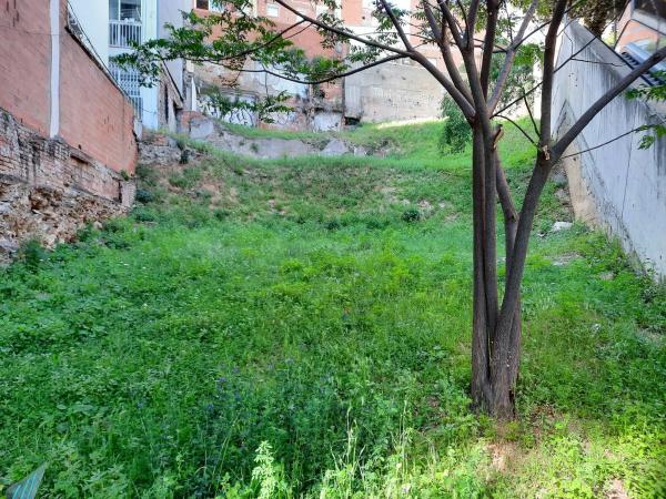 Terreno en cantera, 57 photo 4