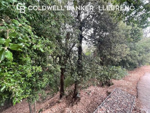 Terreno en Barrio Vallvidrera - El Tibidabo i les Planes photo 4