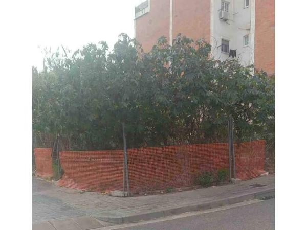 Terreno en La Morera photo 3