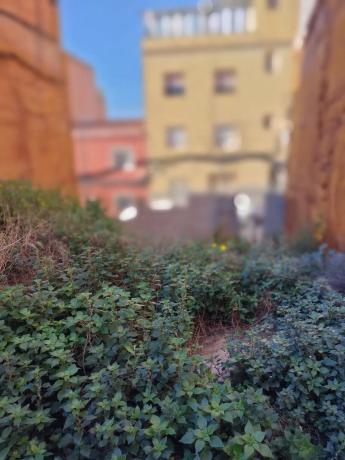 Terreno en calle de Sant Antoni Abat photo 1