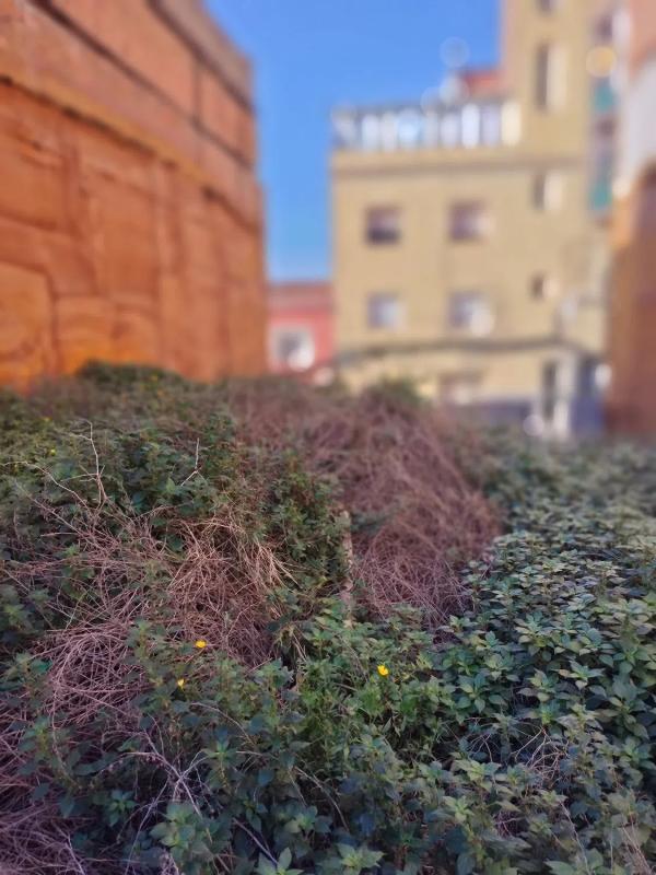 Land for sale in Badalona, Barcelona photo 3