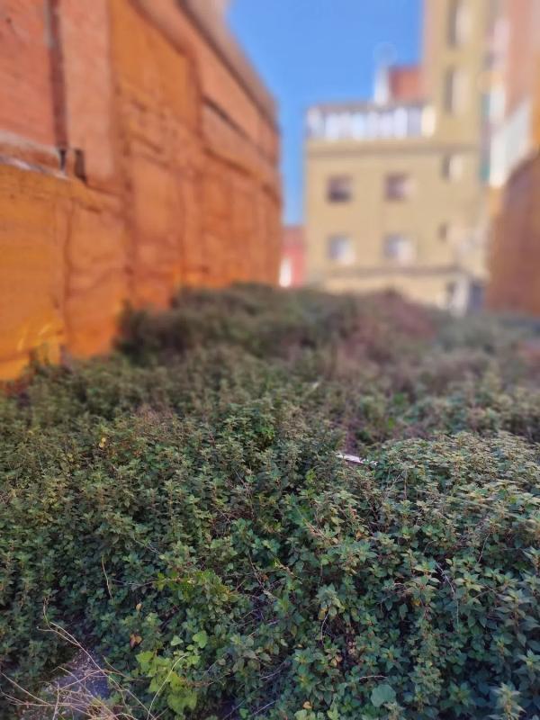 Land for sale in Badalona, Barcelona photo 4