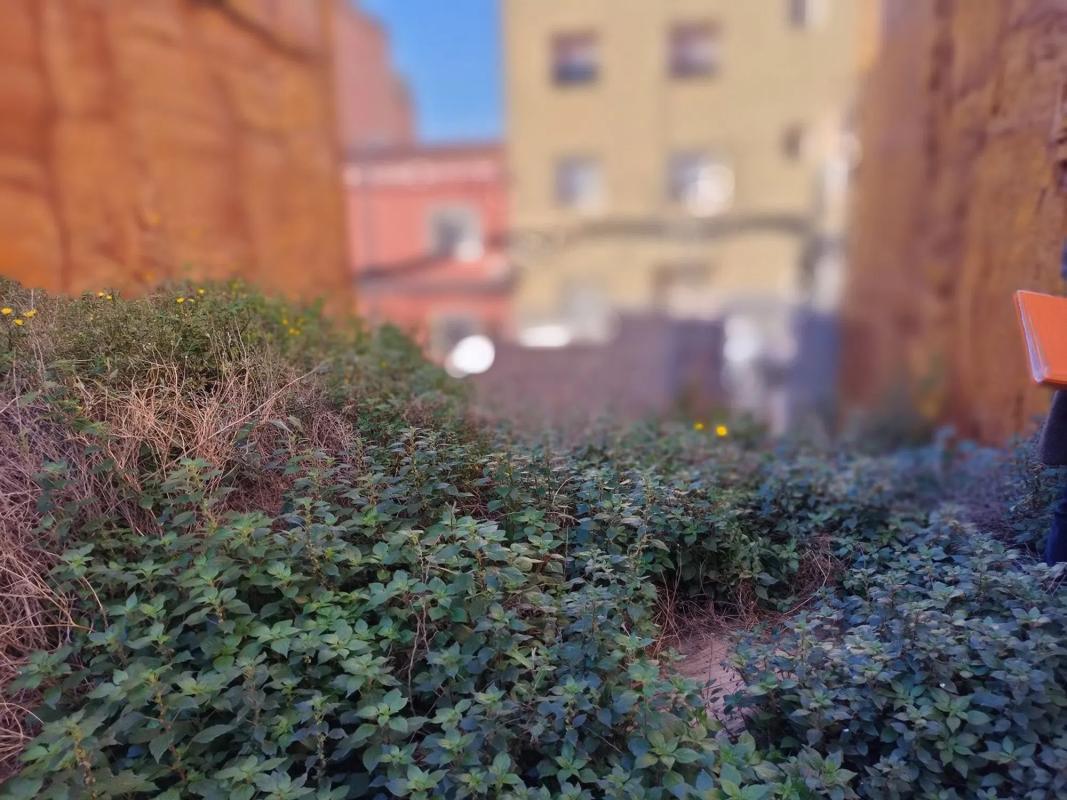 Land for sale in Badalona, Barcelona photo 5