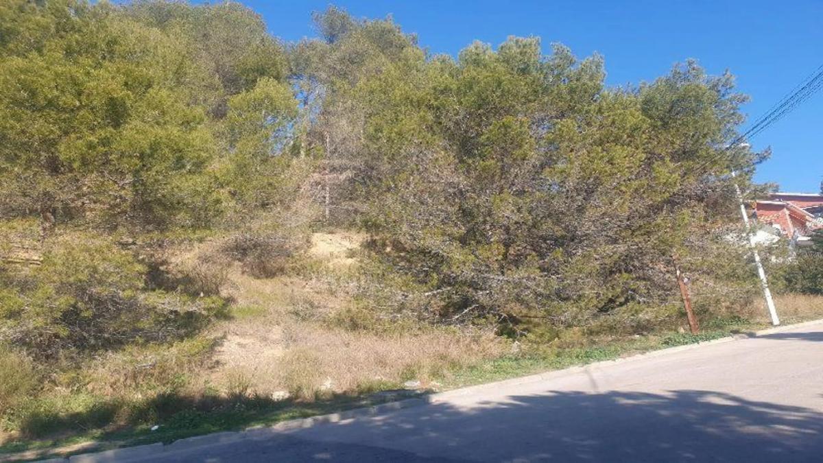 Land for sale in Santa Coloma de Gramenet, Barcelona photo 2