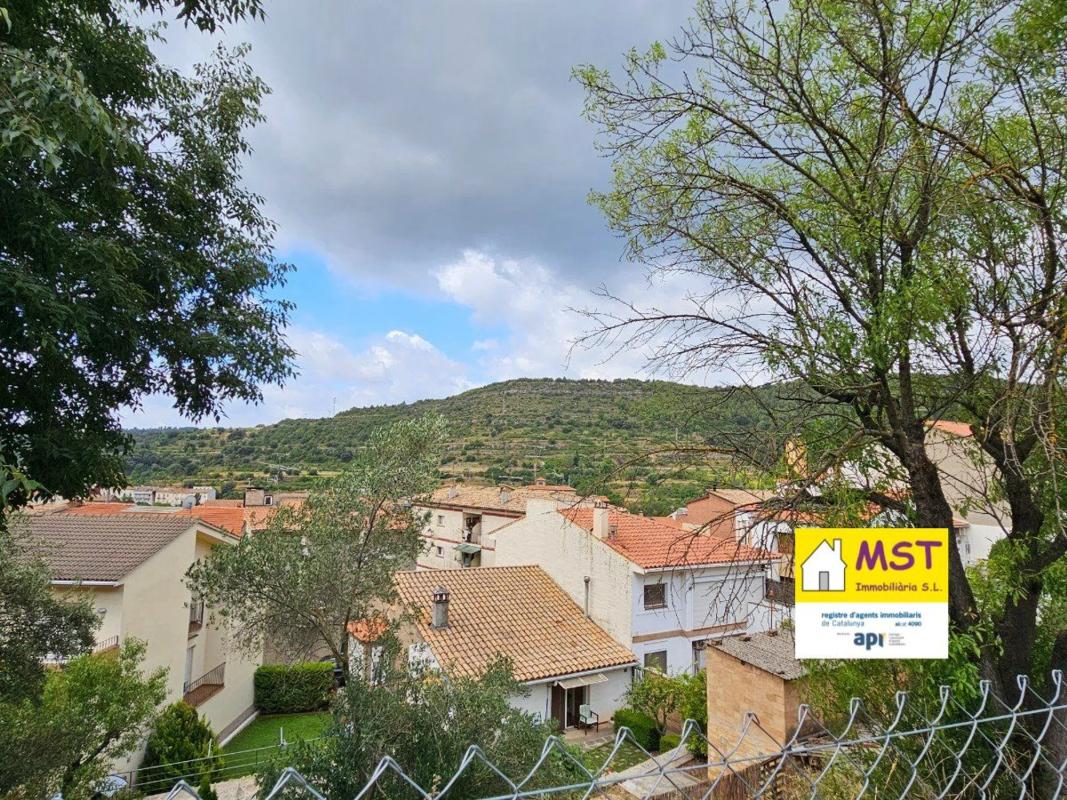 Land for sale in Puig-Reig, Barcelona photo 4