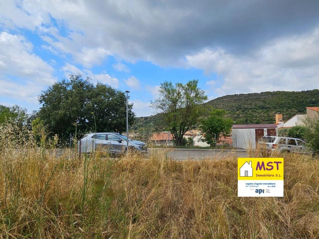 Land for sale in Puig-Reig, Barcelona photo 5