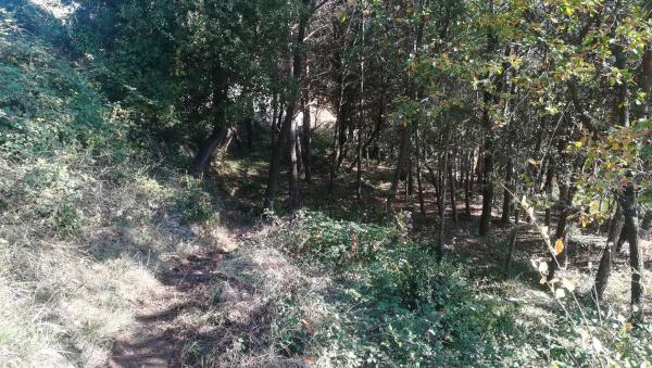 Terreno en camino de Sant Jordi, 78 photo 1