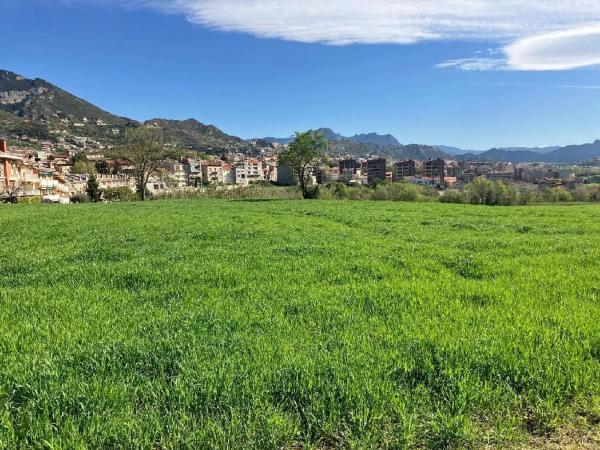Terreno en camino Sant Bartomeu photo 2