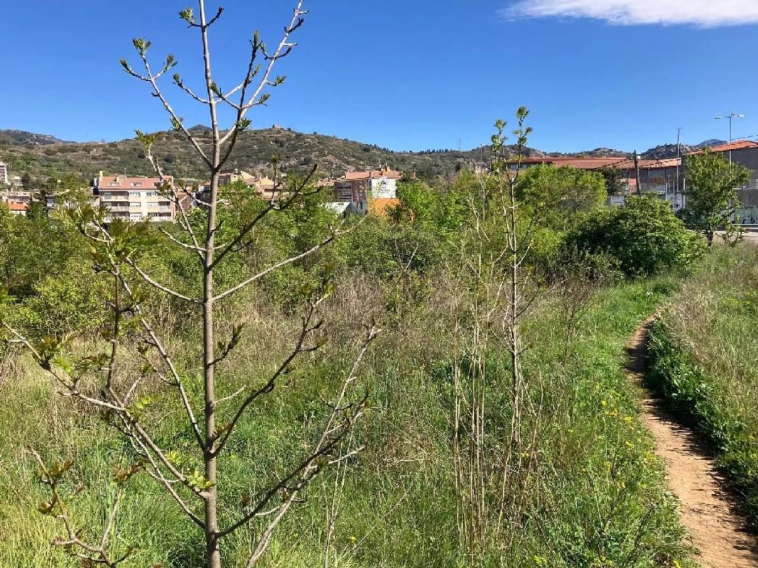 Terreno en venta en Berga, Barcelona photo 5