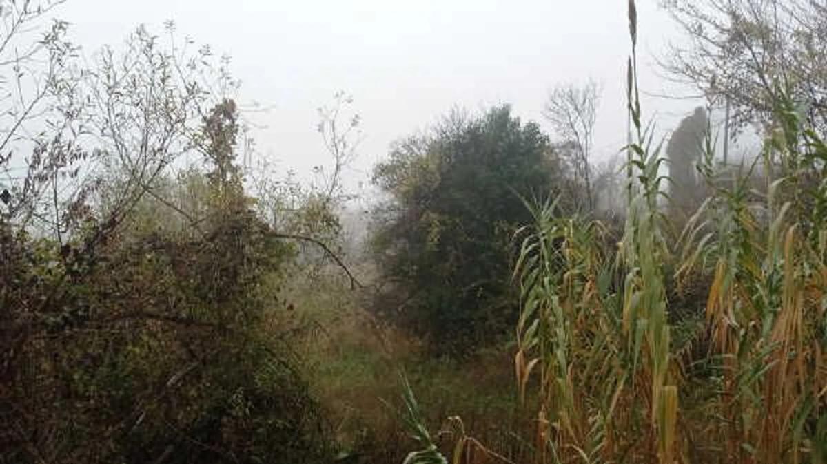 Land for sale in Berga, Barcelona photo 5