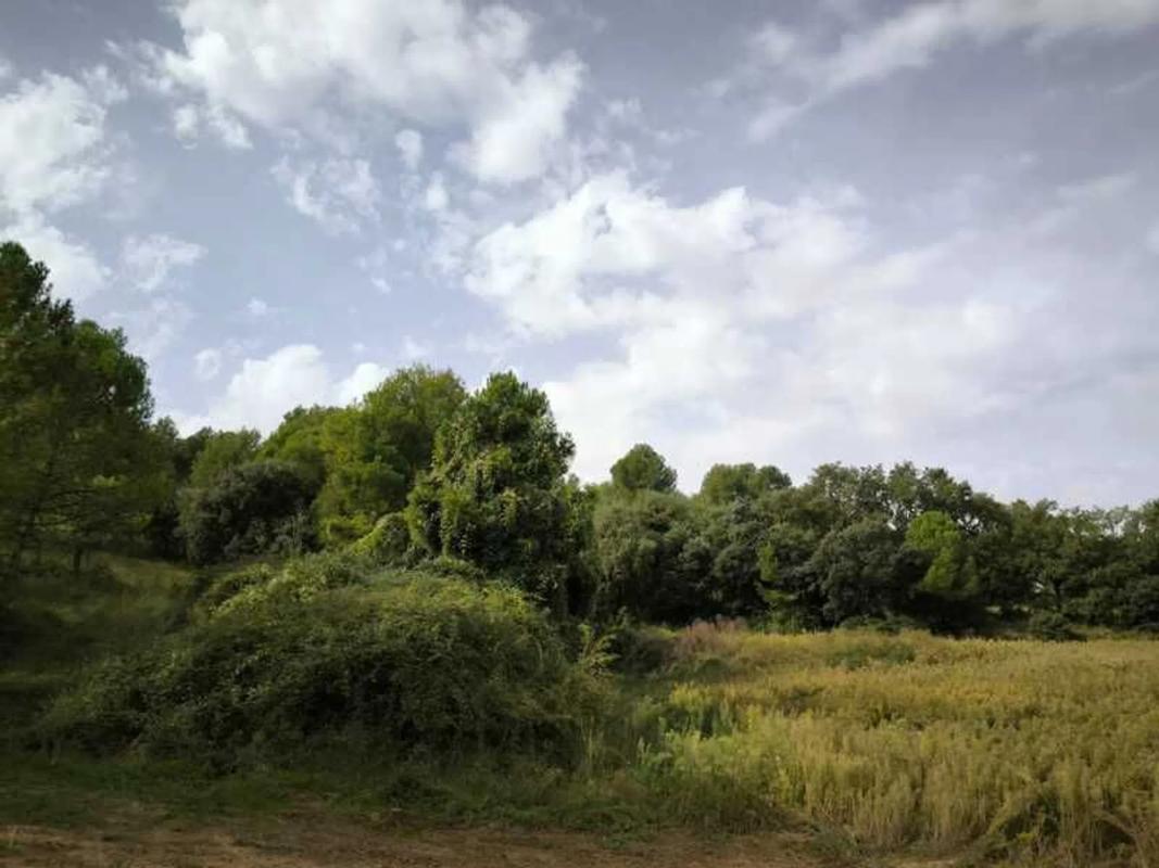 Land for sale in Avià, Barcelona photo 1